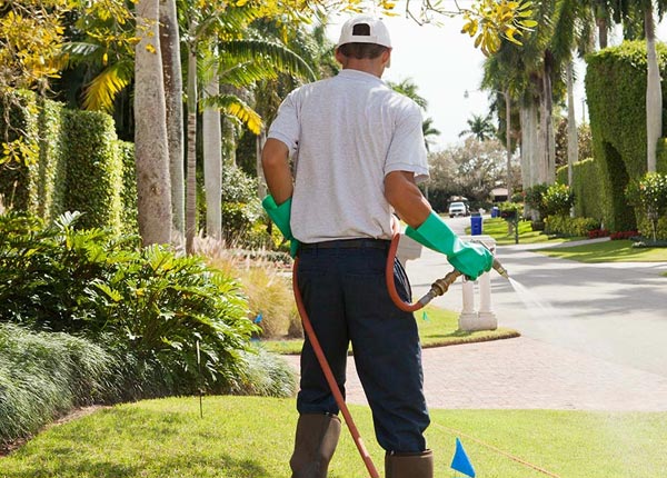 About Kenna WV Pest Control